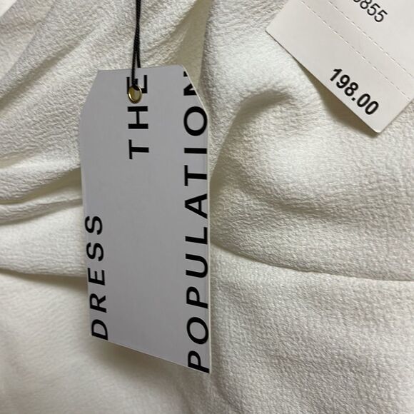 Dress THE POPULATION Crepe Fringe Minidress party cocktail Swiftie Sm NWT - Picture 7 of 15